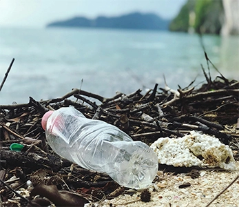 Fio de Poliéster Reciclado